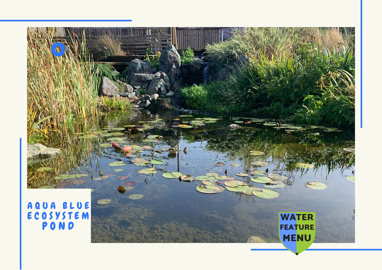Explore Our Beautiful Ecosystem Ponds - A Perfect Harmony for Your Garden