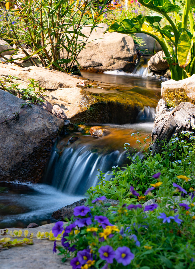 Filtration (Biological)