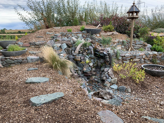 Small Stone Garden