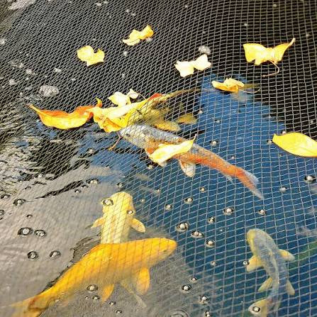 Pond netting