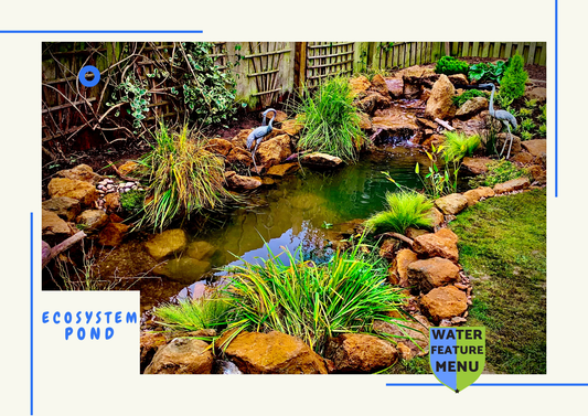 Ecosystem Pond - water feature menu