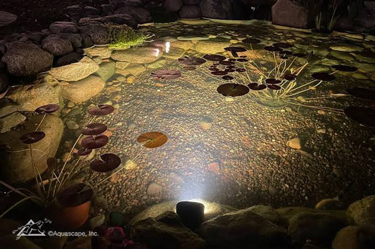 Night time illumination (3 Uplights & 2 Spotlights)