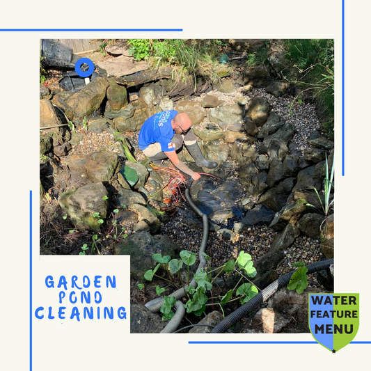 Garden Pond Cleaning Service