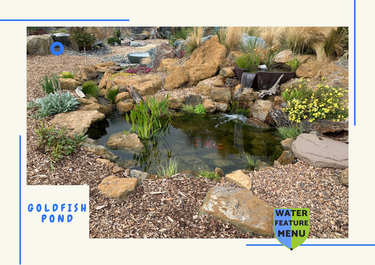 Fish Pond - Ecosystem