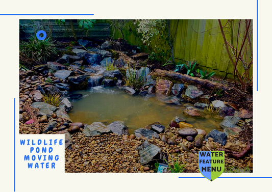 Wildlife Ponds - Ecosystem