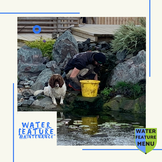 water feature maintenance - waterfeature.menu