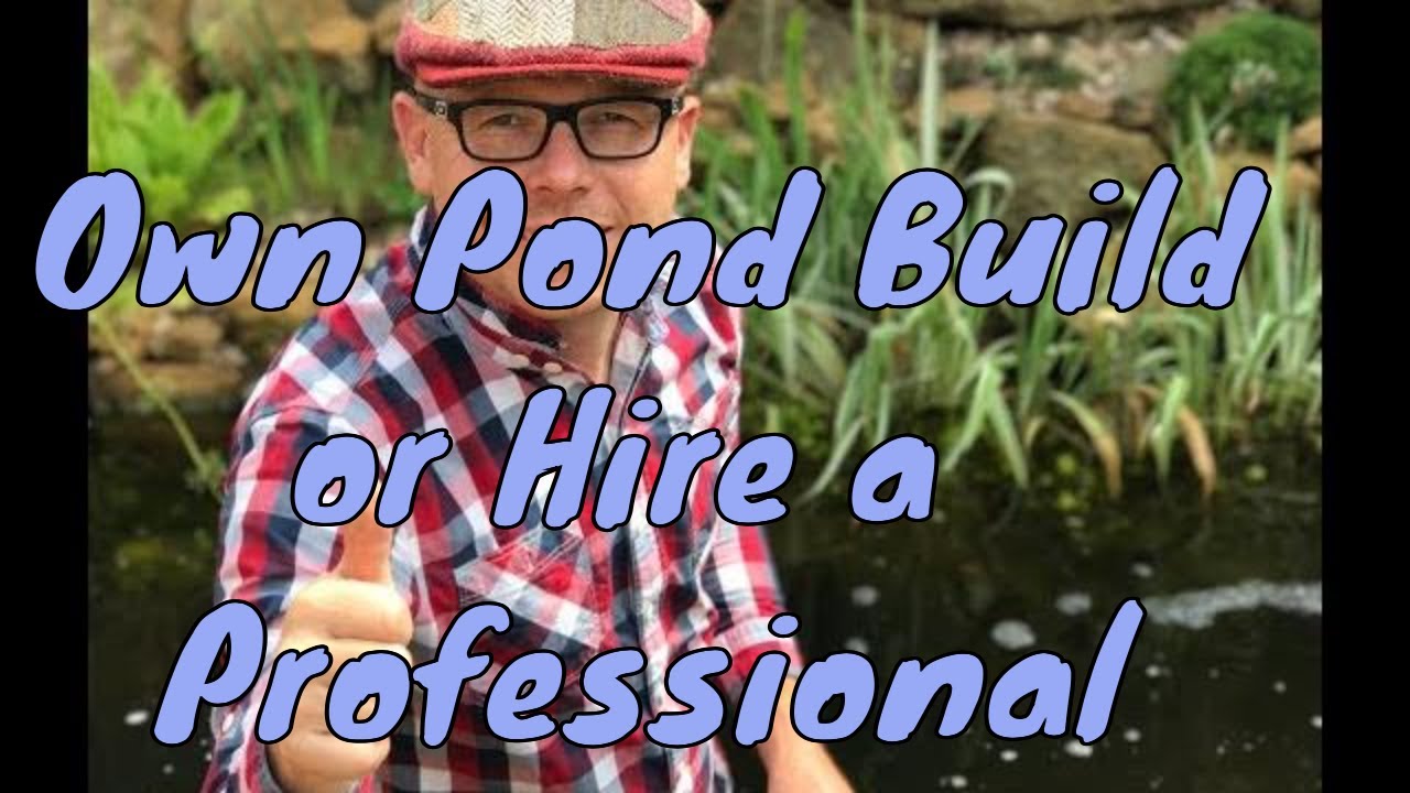 Load video: Should I build my own pond or hire a professional